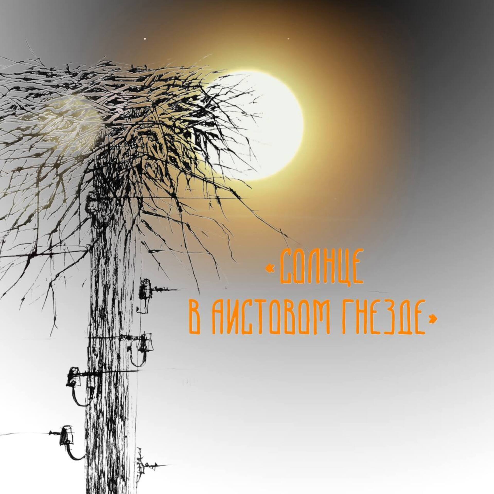 СОЛНЦЕ В АИСТОВОМ ГНЕЗДЕ