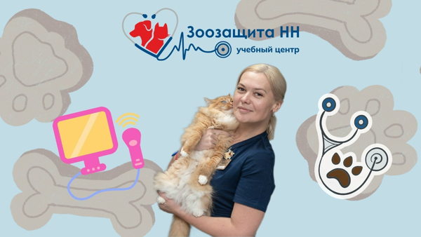 Мастер-класс по УЗИ от Оксаны Крыловой