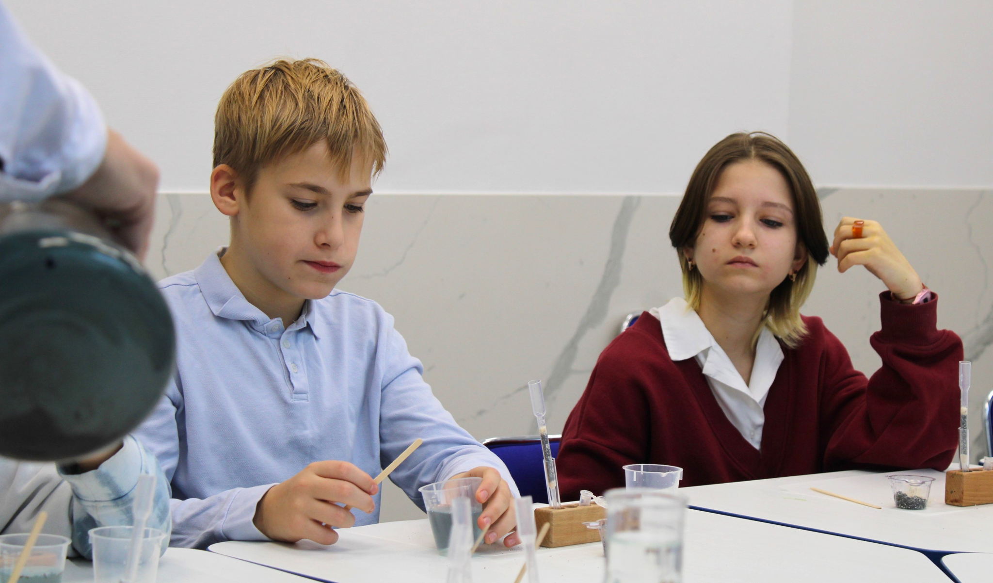 Что такое лишайники?