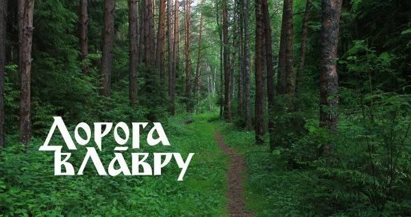 Дорога в Лавру Московский участок