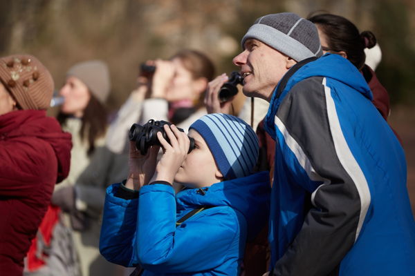 Бесплатная орнитологическая экскурсия в Московском парке Победы