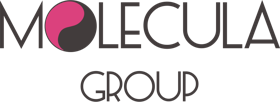 MOLECULA Group - коммуникационная группа. Представительство, маркетинг, продвижение, организатор воркшопов