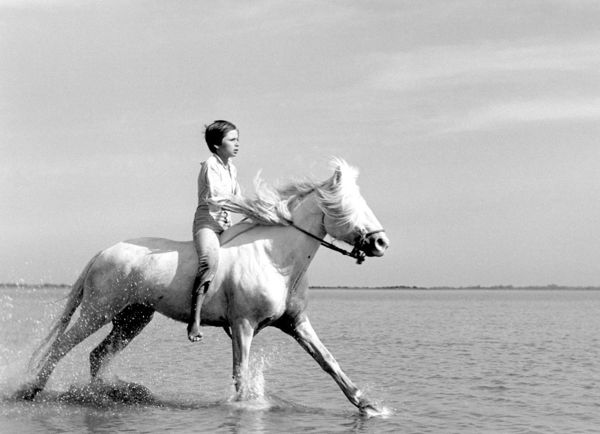Кинопоказ «Классика жанра: Белая грива: Дикая лошадь. 1953 г.»