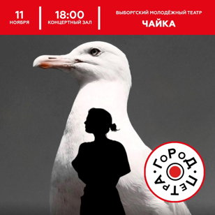 Спектакль "Чайка". Выборгский Молодёжный Театр 
