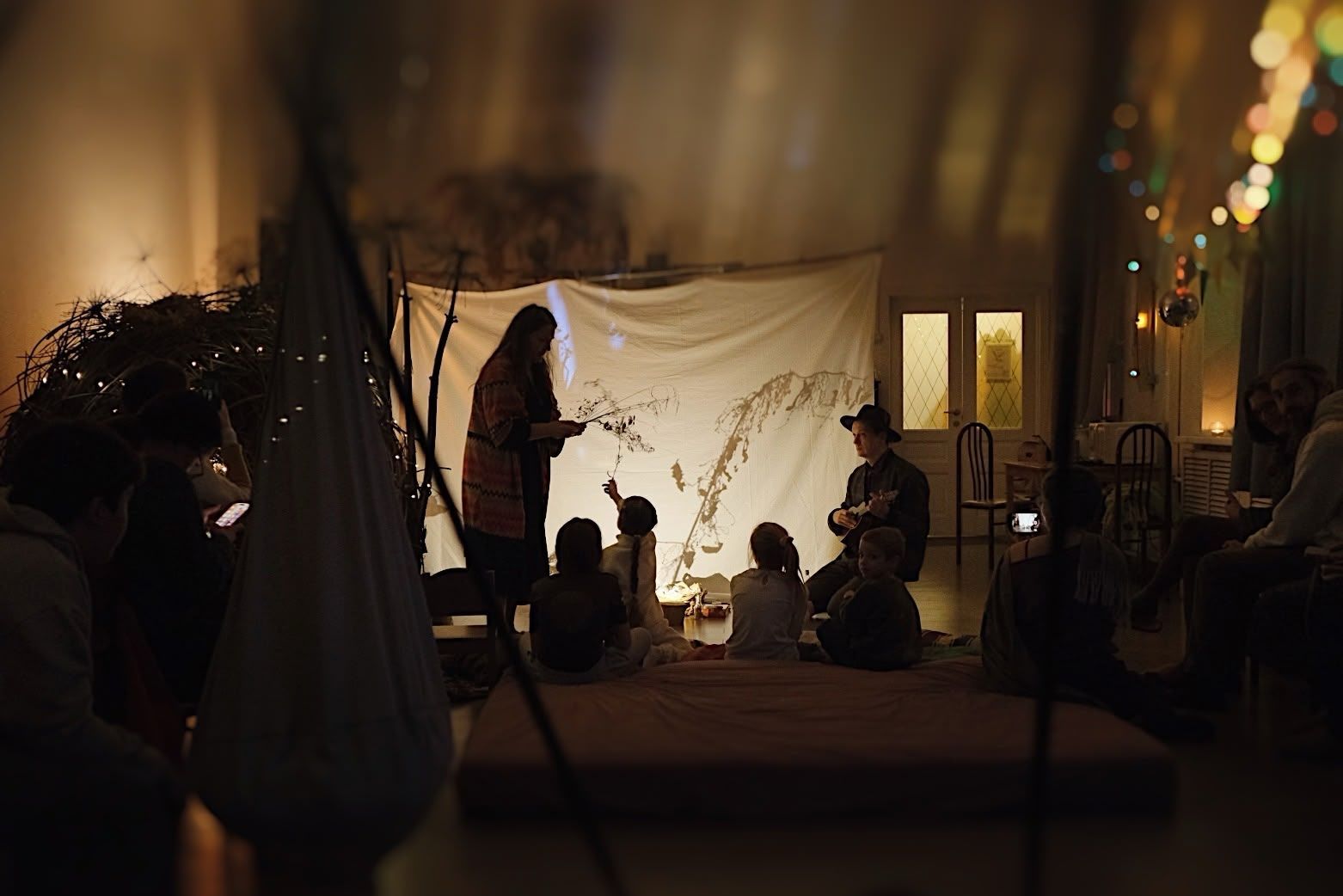 Спектакль театра теней "Рождество в домике Петсона"