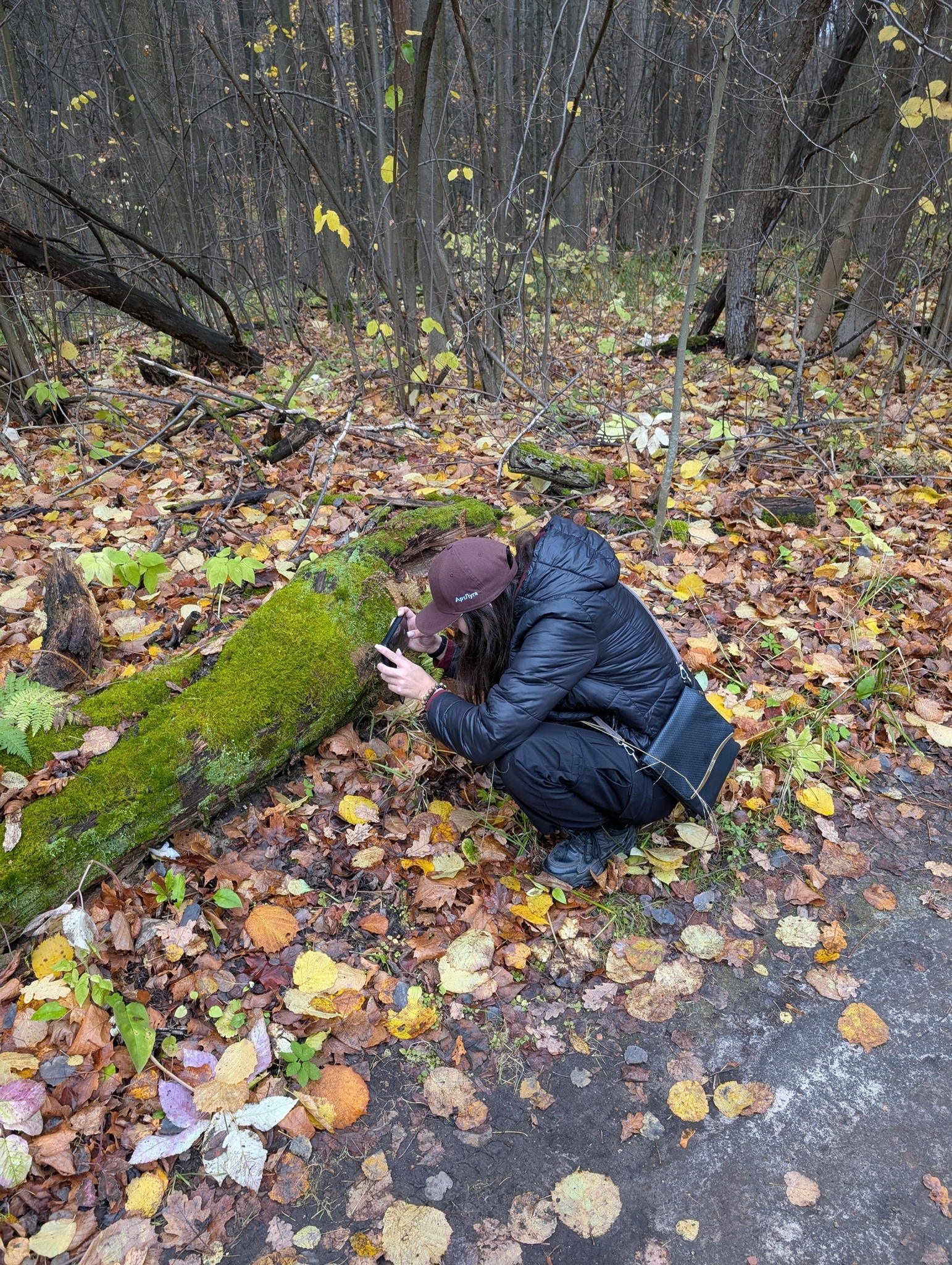 Мастер-класс «Знакомство с макрофотографией: искусство видеть и сохранять | Экомарафон «В гостях у Природы»