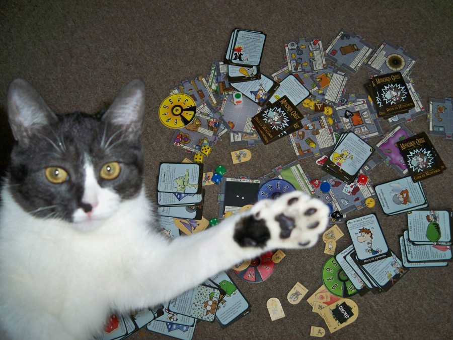 Игры для кота