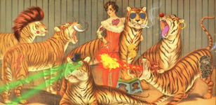 TRUE FLYING TIGERS