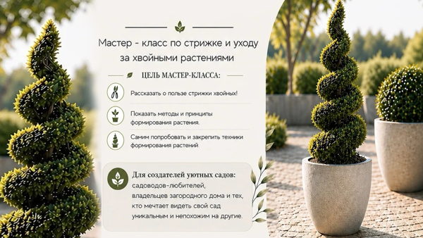 Мастер-класс по стрижке и уходу за хвойными растениями