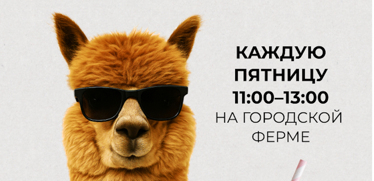 Летучка смузлом: онлайн техно-вечеринка