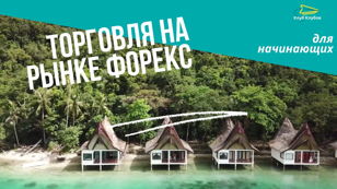 Торговля на рынке Форекс для начинающих