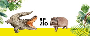 Детский квест по произведениям К. Чуковского «Не ходите, дети, в Африку гулять» | 6+