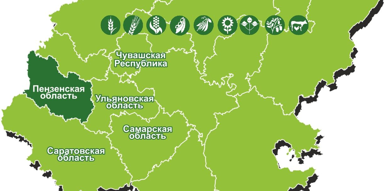 Зерновые, масличные и кормовые: День поля в Пензенской области