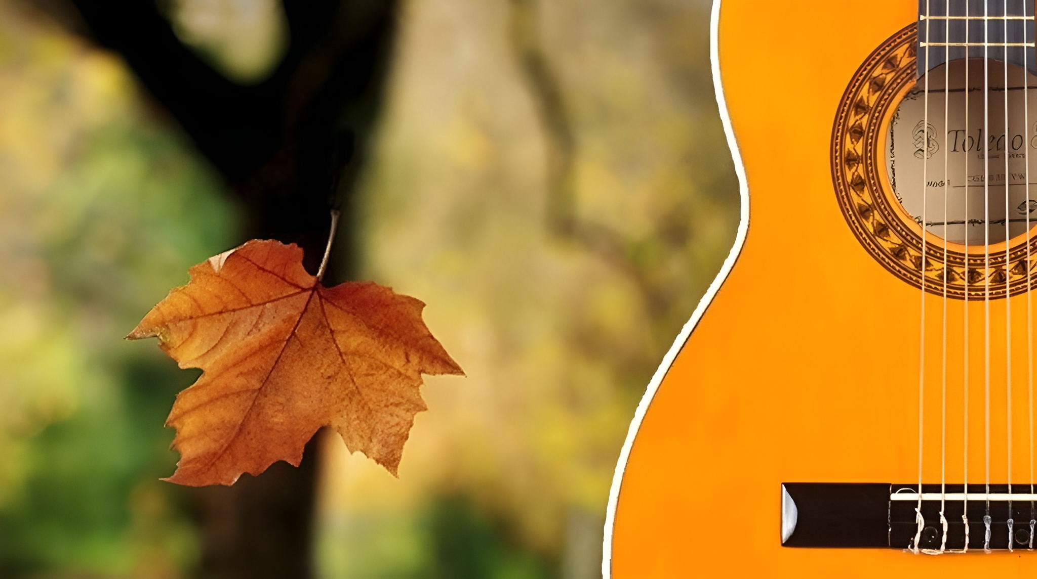 Открытый зал. Свободный микрофон. Поэтическо-бардовский вечер