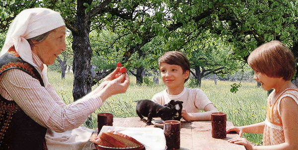 Фильм «Живая радуга», 1982 (к/т «Иллюзион», Большой зал)