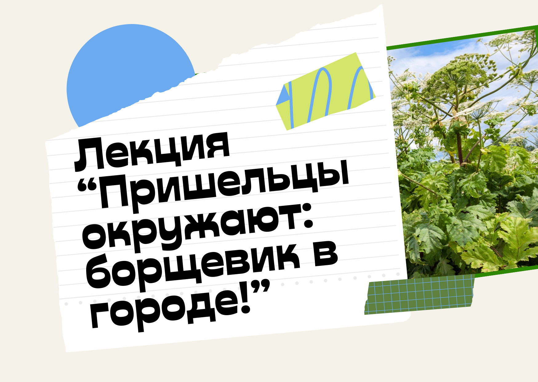 «Пришельцы окружают: борщевик в городе!»