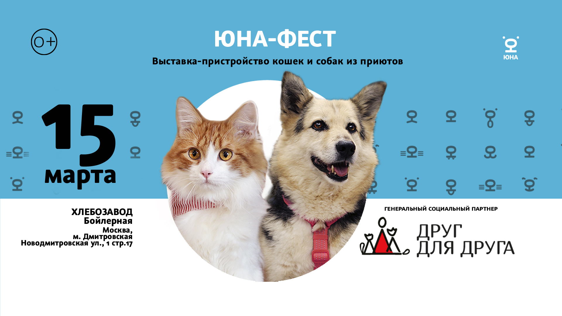 Юна-Фест. Выставка-пристройство животных их приюта