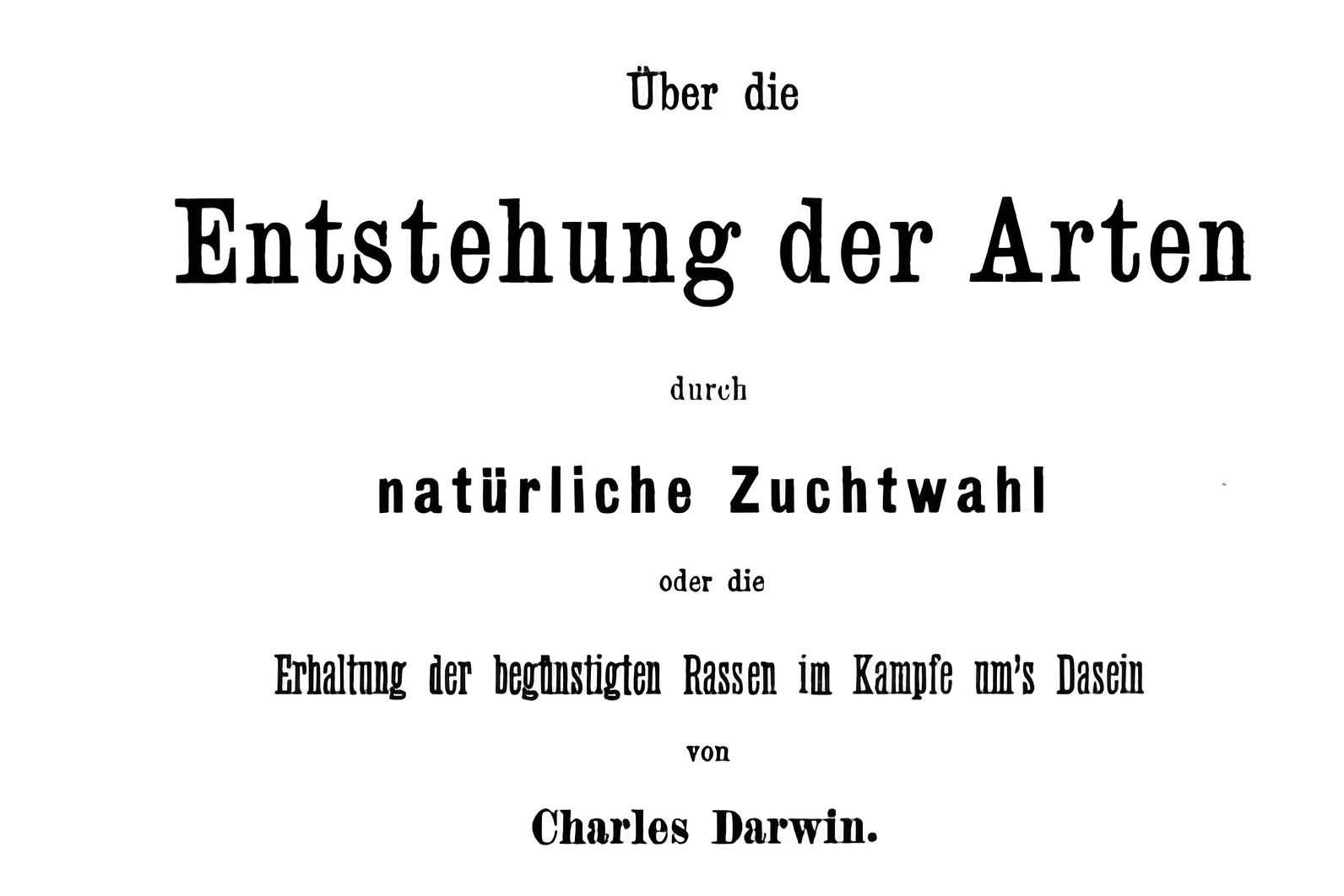 Лекция Максима Винарского "Этюд в коричневых тонах" (СПб+онлайн)