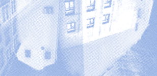 Натюрморт. Путеводитель по переименованному городу