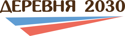 Деревня 2030