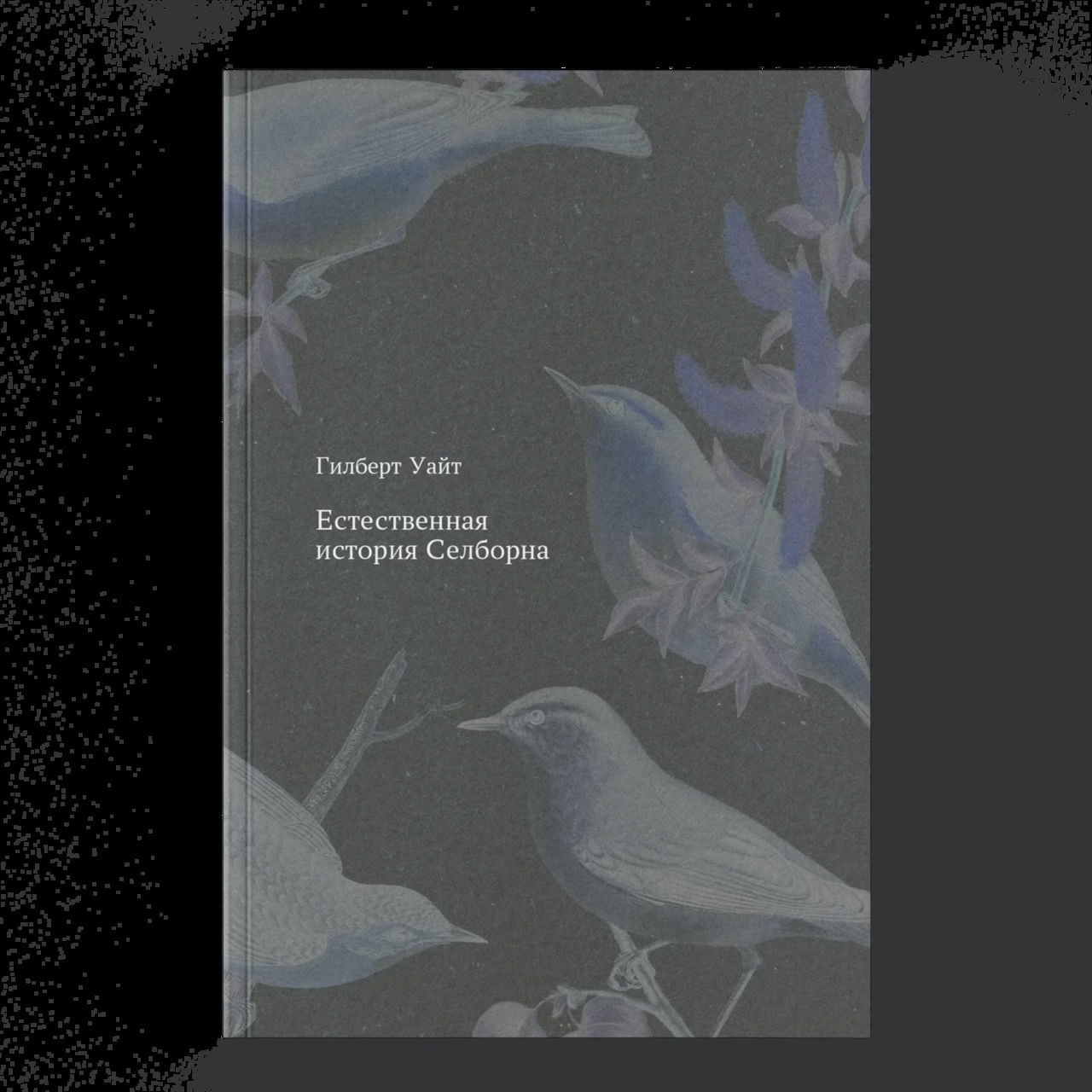 Диалектика мха на камне