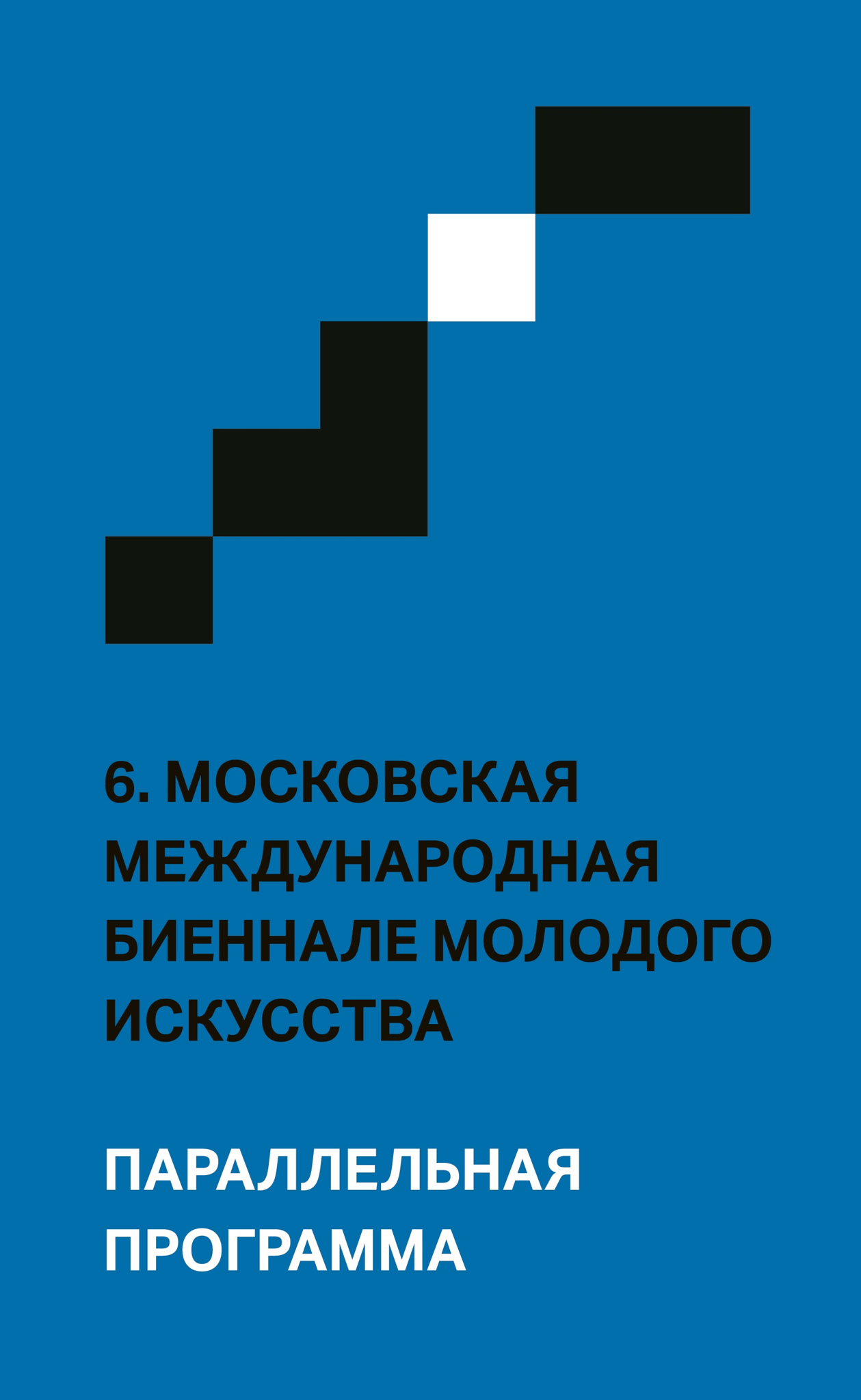 6. Московская молодежная биеннале молодого искусства