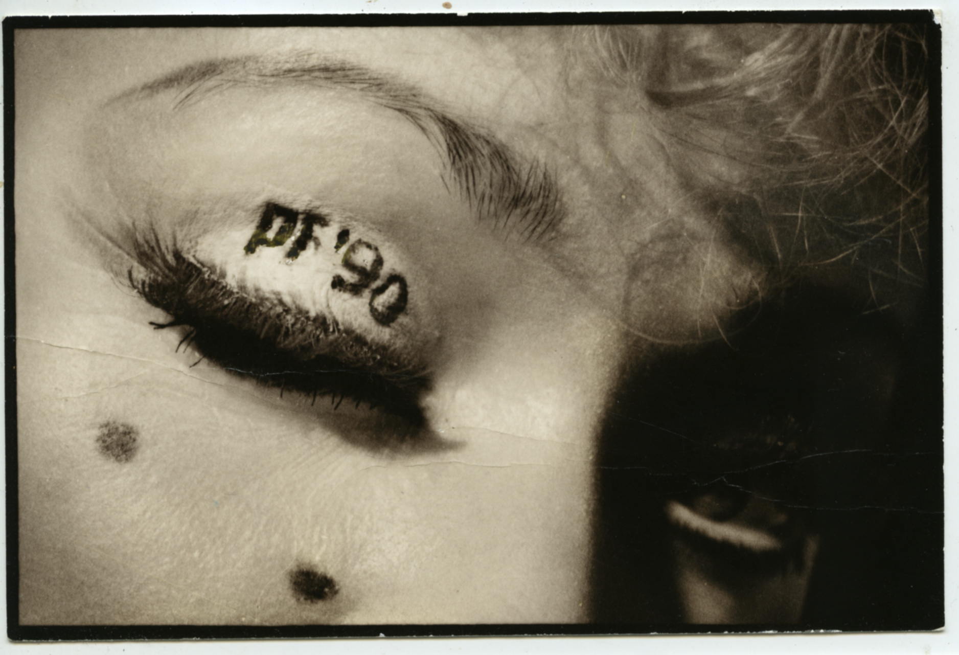 Советские фотоклубы. История возникновения и развития обмена PF новогодними открытками в СССР