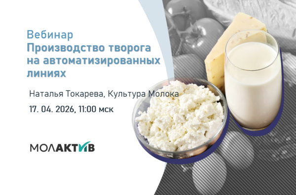 Производство творога на автоматизированных линиях