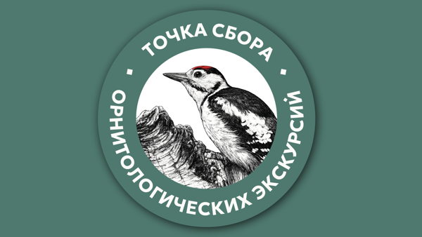 Летний сезон орнитологических экскурсий — Ржевский лесопарк