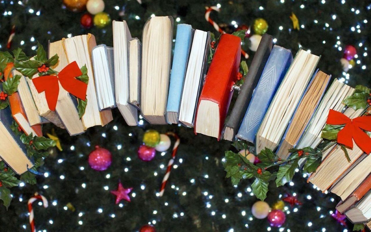 Поэтический вечер " Предновогоднее настроение. Разговор с поэтом Ольга Шерстюк"