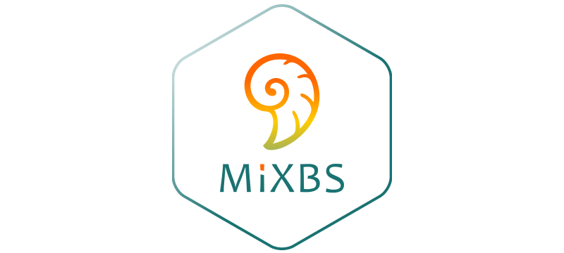 MiXBS