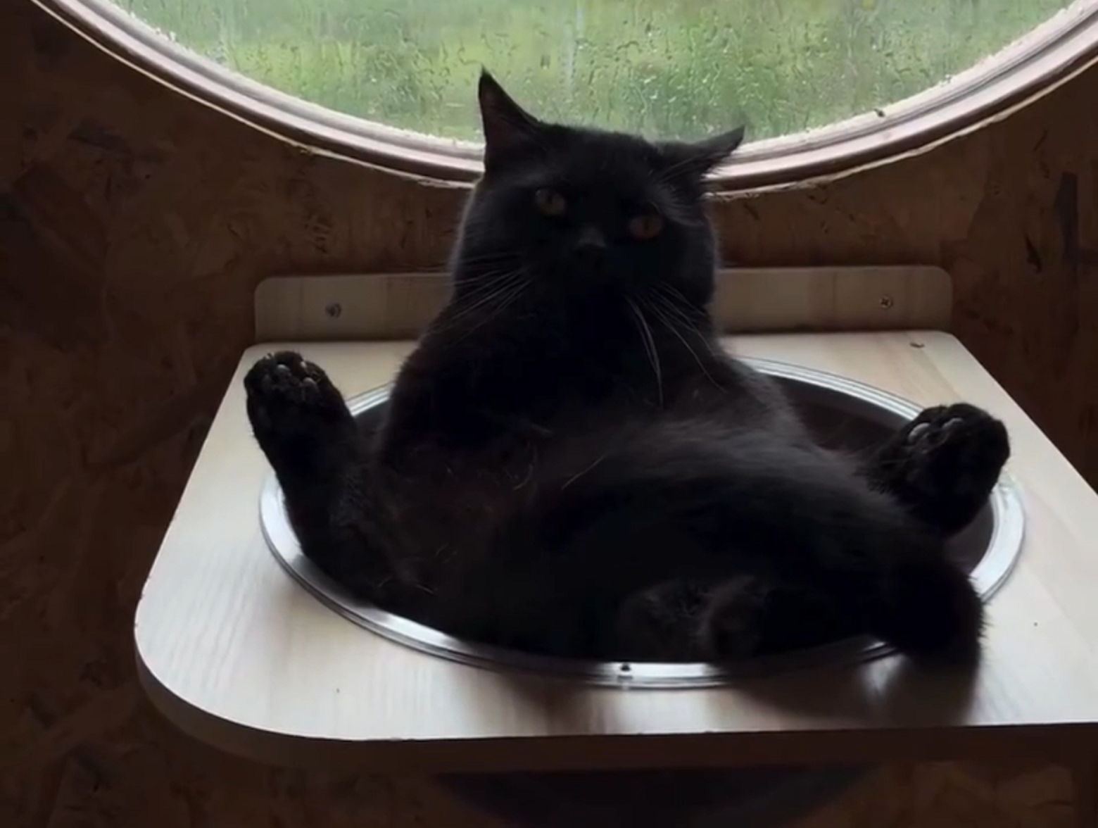 Тренинг «ПРИРУЧИ КОНФЛИКТ». Тренировка техники «ВОРОНКА ВОПРОСОВ»