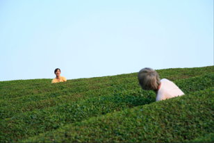 Киноклуб «Сцена после титров»: «Траурный лес» (2007)