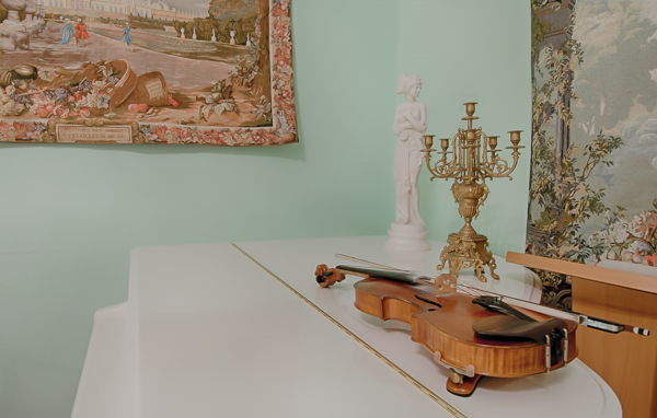 Музыкальные вечера в гостиной особняка Толстых-Борисовских