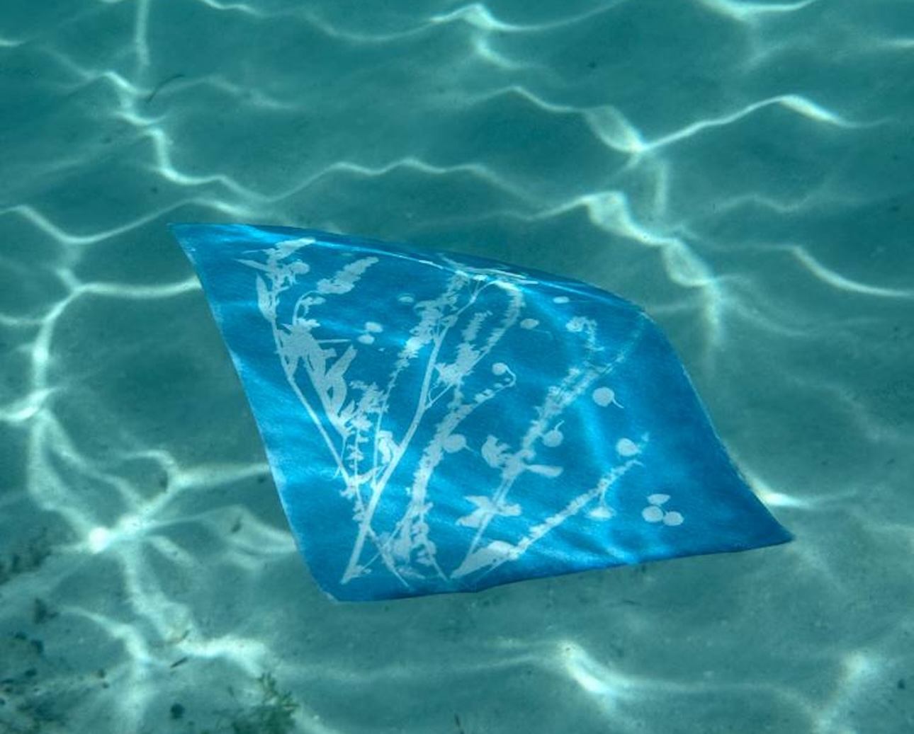 Артист-ток Ольги Малининой