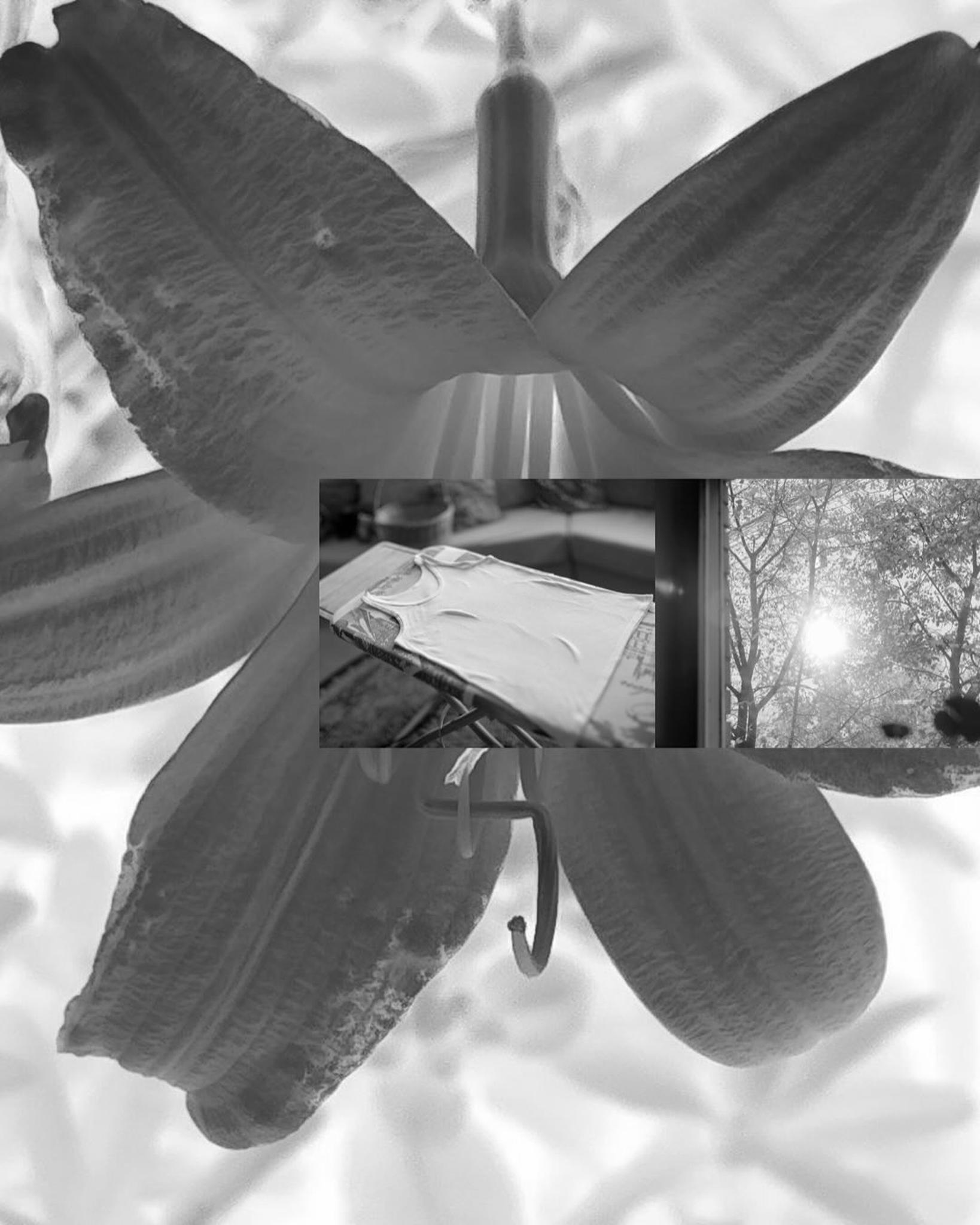 Мастер-класс по работе с фотоизображением: «Эстетика последствий»