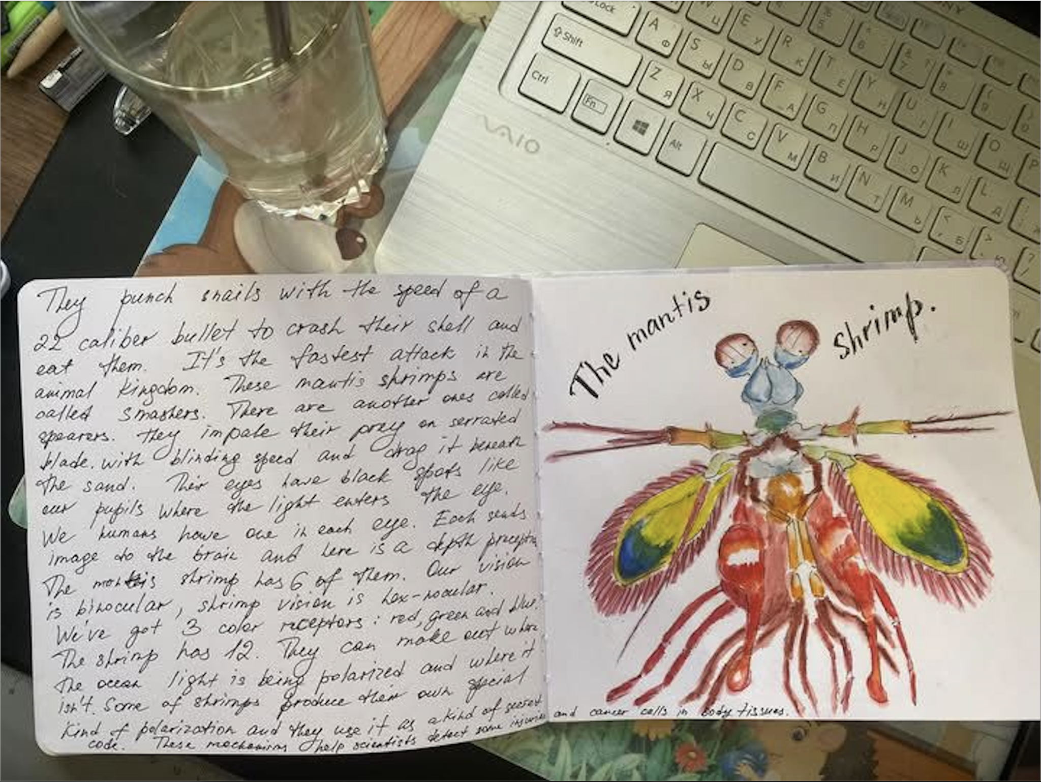 По воскресеньям в 15:15 Новый курс "АНГЛИЙСКИЙ КЛУБ ЮНЫХ НАТУРАЛИСТОВ" с Анной Ремизовой в Ботаническом саду МГУ. 7+