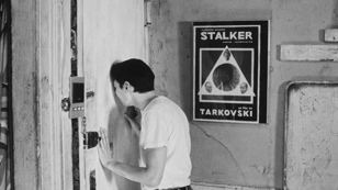 "В супе" (реж. Александр Рокуэлл): кинопоказ, лекция, обсуждение