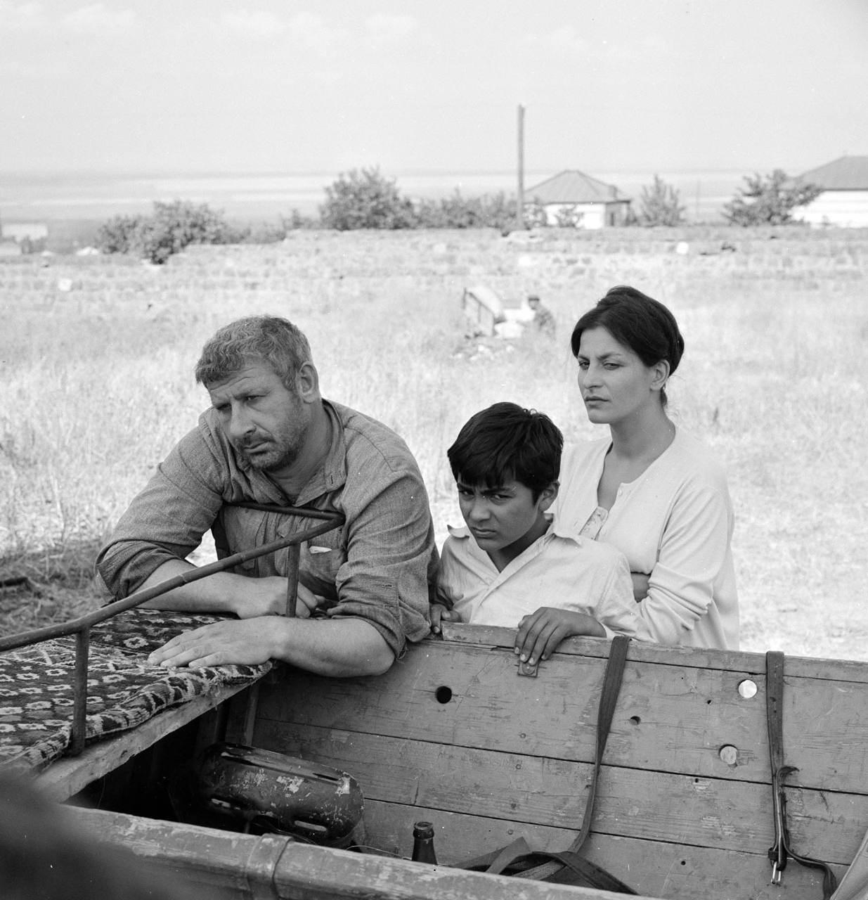 Онлайн-лекция Мананы Лекборашвили «Несоветское грузинское кино. «Большая зеленая долина» Мераба Кокочашвили»