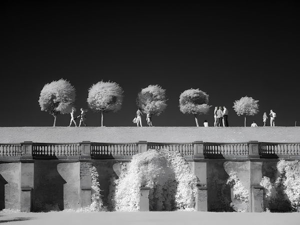 в рамках программы ФОТОСРЕДА состоится творческая встреча с фотографом Маргаритой Фединой. Тема: «Инфракрасная фотография, или Почему на ваших снимках зелень белая?»