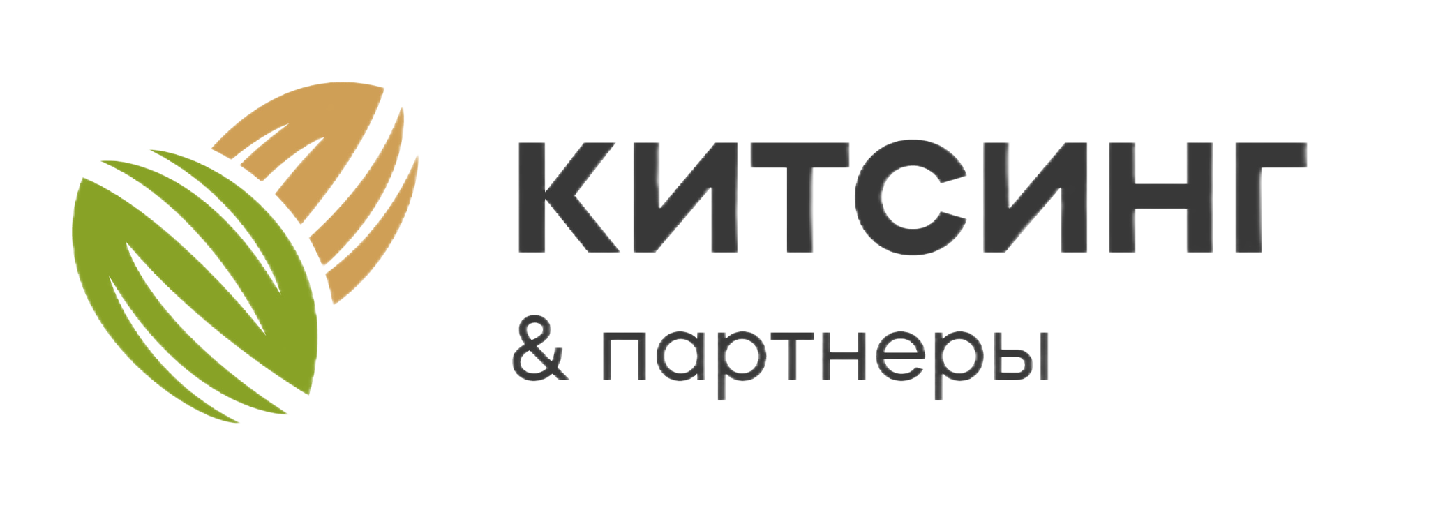 АБ «Китсинг и партнеры» 