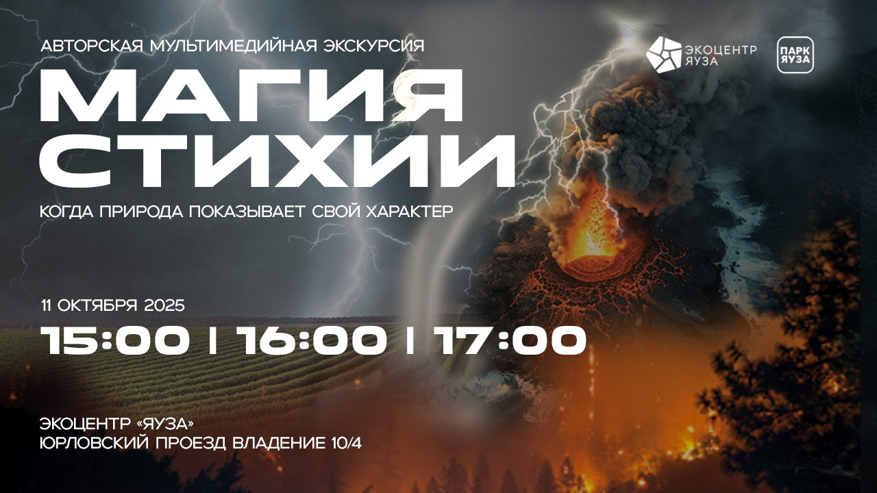 Мультимедийная авторская экскурсия "Магия стихии"