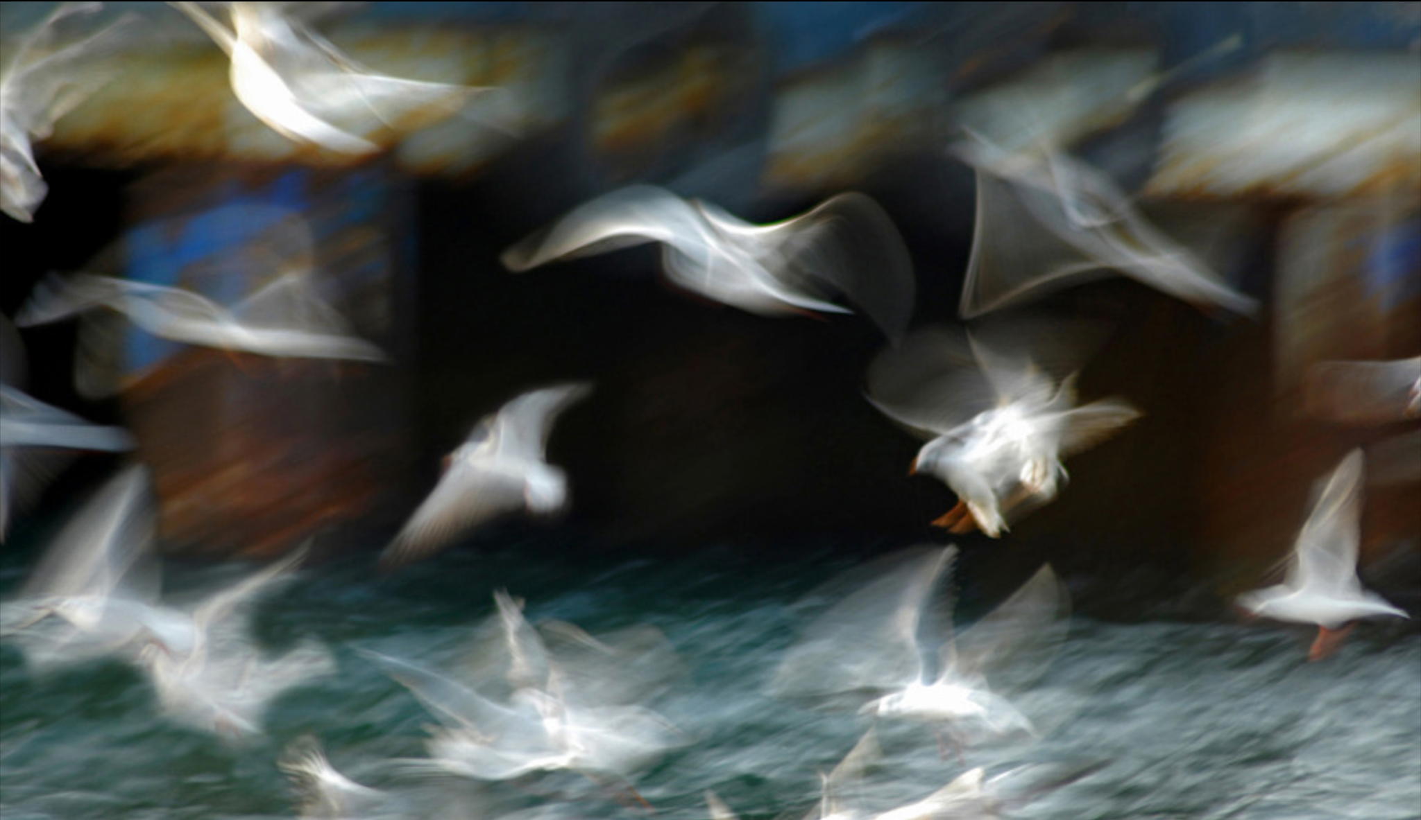 Вечер живых историй о Предчувствиях