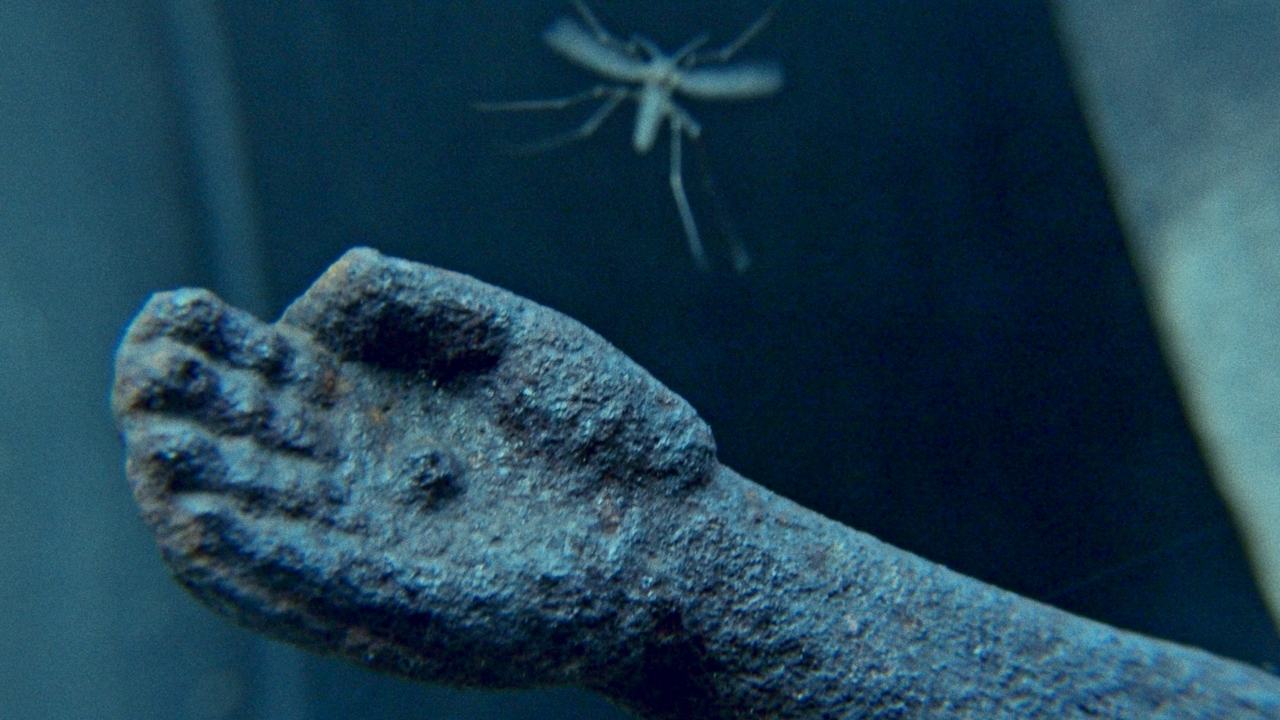 Лена Скрипкина СИНЯЯ РОЗА