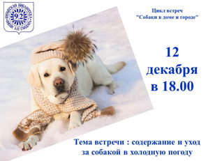 Встреча "Содержание и уход  за собакой в холодную погоду"