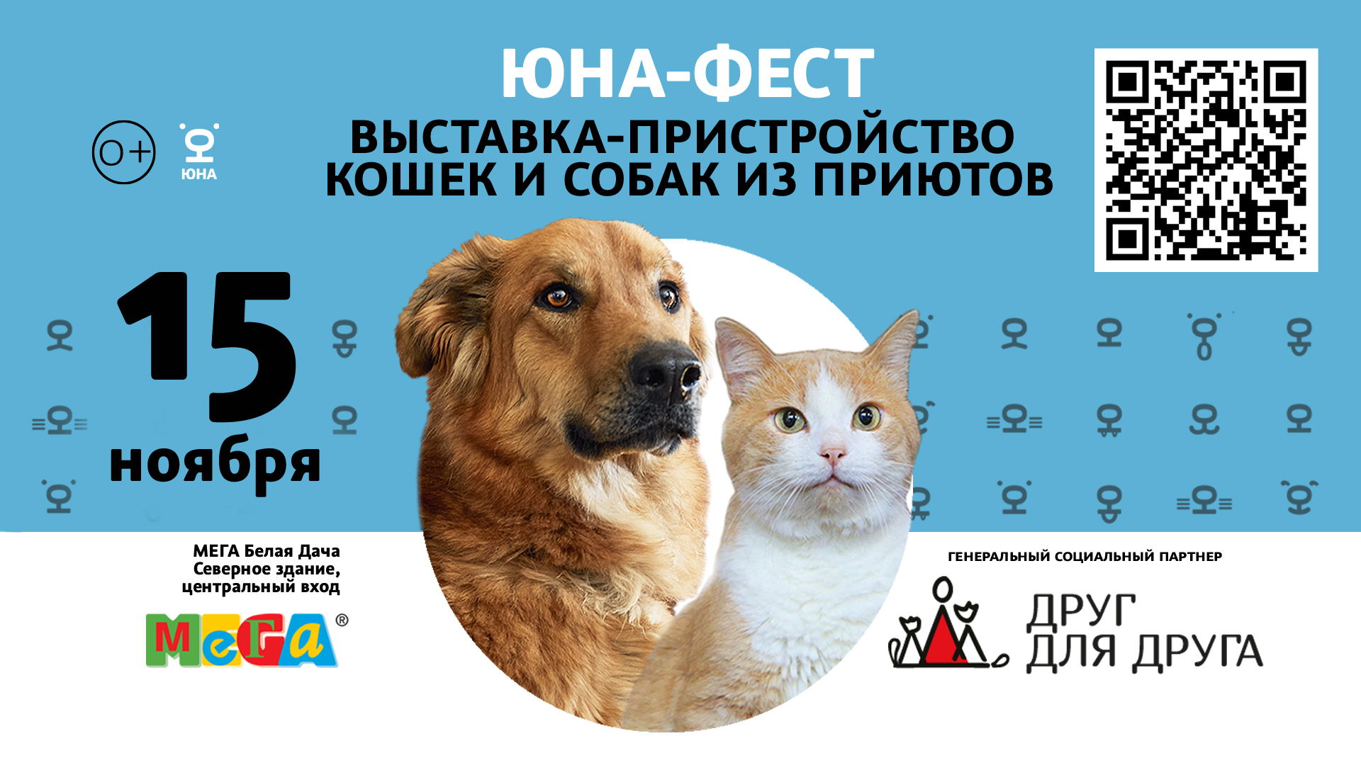 Юна-Фест. Выставка-пристройство животных из приюта