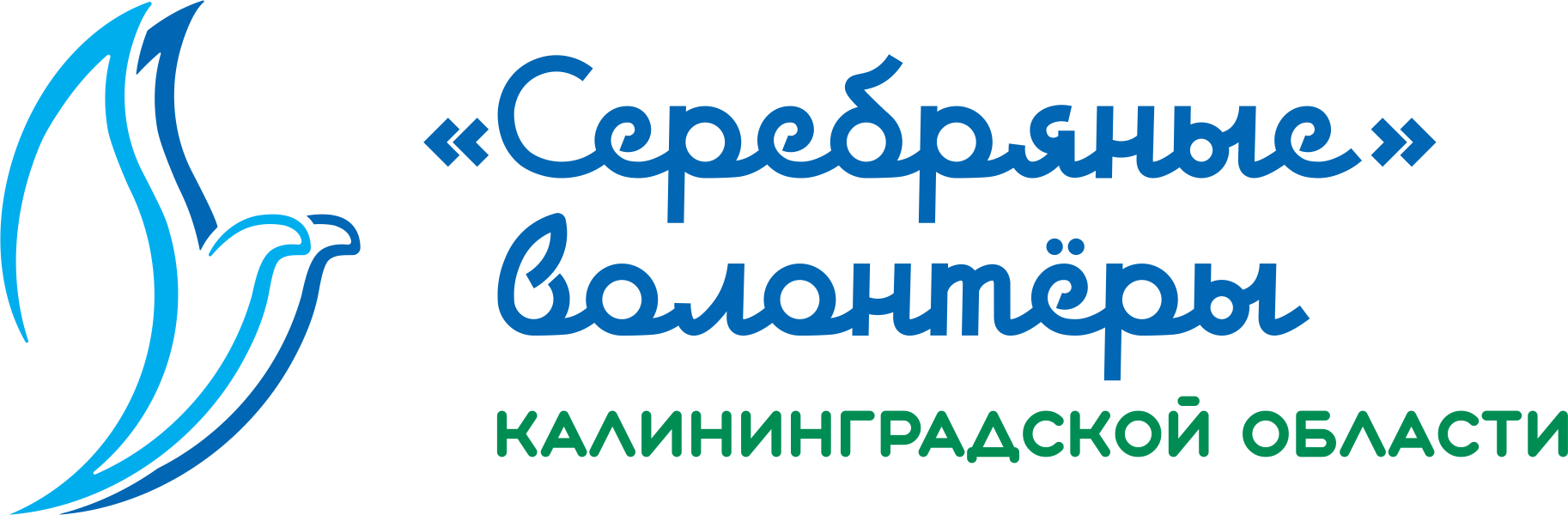 "Серебряные" волонтеры Калининградской области