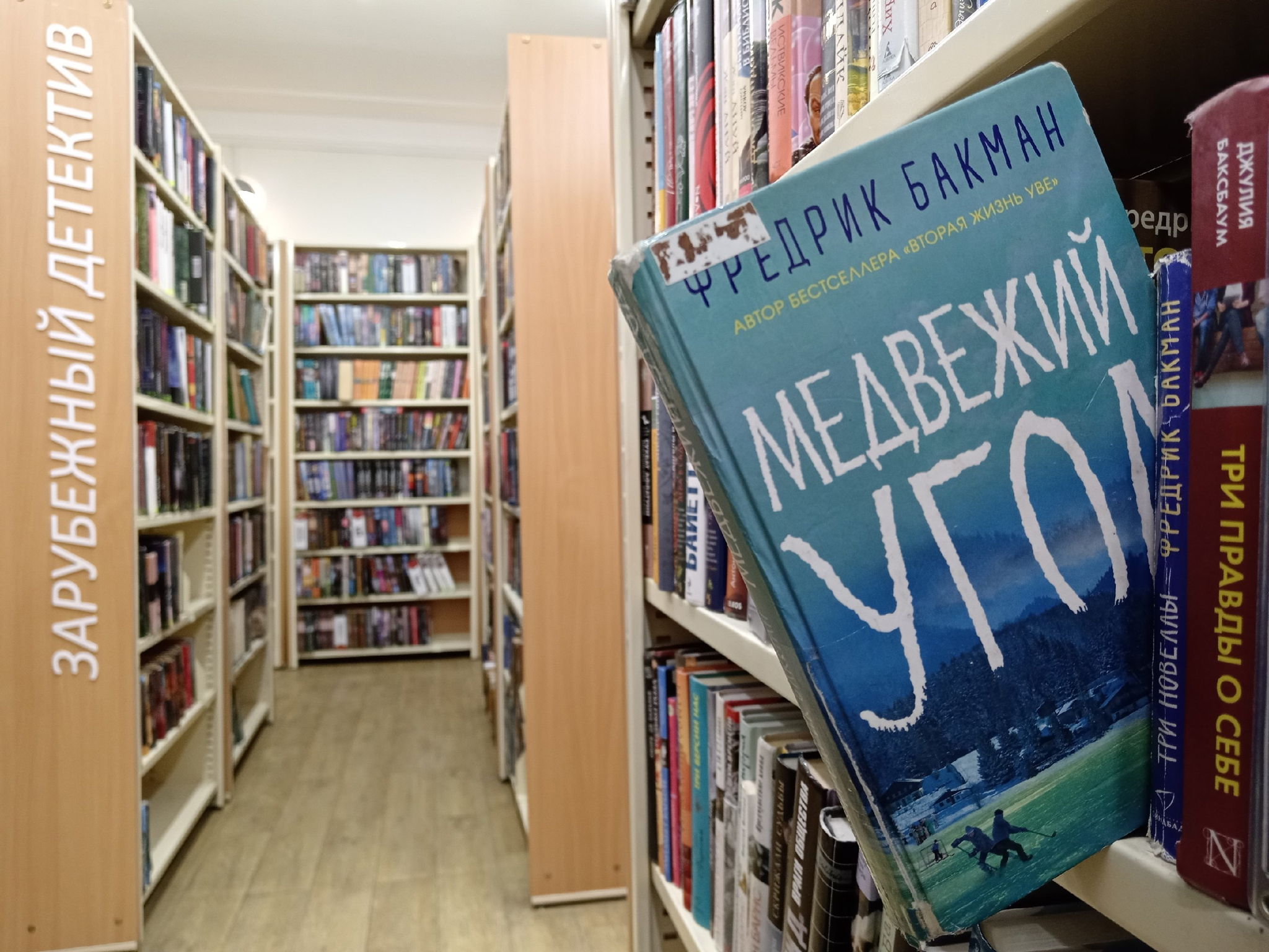 Встреча книжного клуба по книге Фредерика Бакмана «Медвежий угол»