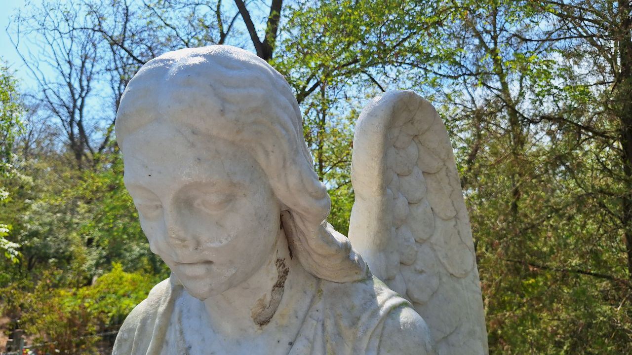 Итоги уходящего 2025 года: консервация, исследования, планы на будущее