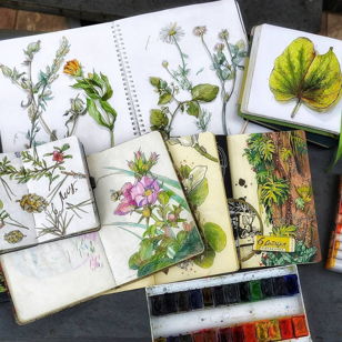 Ботанический скетчинг